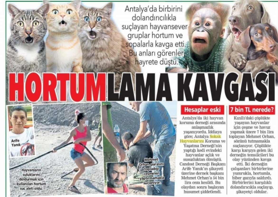 Antalya’da hayvansever gruplar birbirine girdi